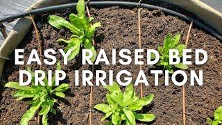 Easy Raised Bed Drip Irrigation System (Connected to Faucet or Spigot)