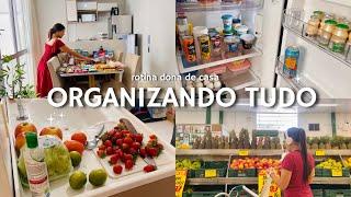 Organizando as compras do mês, fiz feira de frutas e verduras, limpei os armários e geladeira 