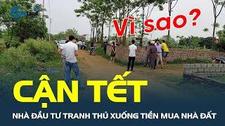 Hé lộ lý do khiến nhà đầu tư tranh thủ xuống tiền MUA NHÀ ĐẤT ngay những ngày cận Tết | CafeLand