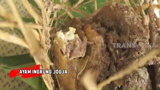 Ayam Ingkung Jogja Yang Melegenda | RAGAM INDONESIA (01/01/21)