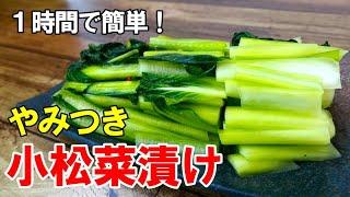 『自家製 小松菜漬け！』まるで野沢菜漬け！？1時間で作れる無限漬物！