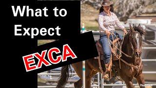 Getting Started in Extreme Cowboy Racing