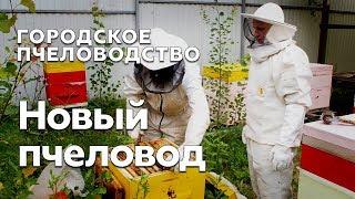 Новый пчеловод с ульем на балконе.