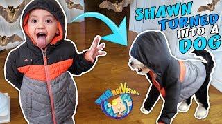 SHAWN turns into PUPPY Oreo + Secret Bat Cave Hideout (FUNnel Family Vlog)