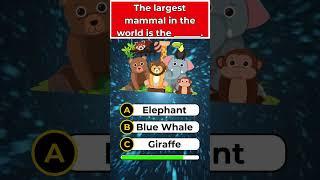 Common knowledge quiz! Part 3 #quiz #commonknowledge