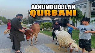 Qurbani ly li Alhumdullilah | Mandi Vlog | Tasty Rabi Food & Vlog