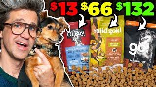 Is Expensive Dog Food Worth It?