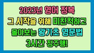 미친척하고 몰아보는 왕기초 영문법 3시간 정주행!