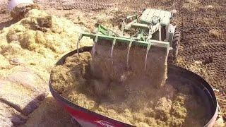 |Larson Ranches| Loading the Feed Wagons / Feeding Cattle.