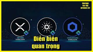 Tỷ lệ cá voi Bitcoin suy giảm, diễn biến quan trọng của XRP, ADA và LINK