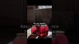 Кто согласен?#хочувэтуатмасферу#кринжик