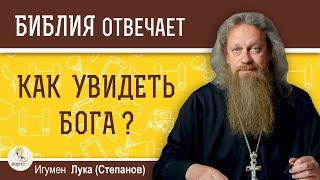 КАК УВИДЕТЬ БОГА ?  Игумен Лука (Степанов)