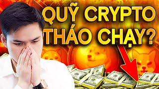 DÒNG TIỀN ĐỐI LẬP !! BITCOIN Tạo Đỉnh Mới Nhưng Các Quỹ Đầu Tư Đang Tháo Chạy ??