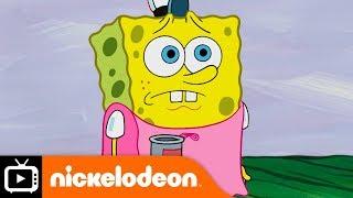 SpongeBob SquarePants | You're Fired | Nickelodeon UK