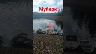 Муйнок 2023 оролский море