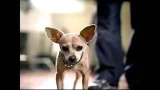 Geico Gecco Meets Taco Bell Dog Ad, 2002