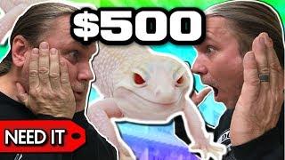 $20 LEOPARD GECKO vs $500 LEOPARD GECKO!! | BRIAN BARCZYK