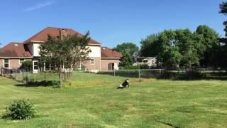 Max and the Hexacopter, testflight3