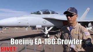 EA-18G Growler  vs Super Hornet - Interview 1/7 - EA / AEA platform - FinAF 100 Years