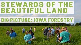 The Big Picture:  Iowa Forestry
