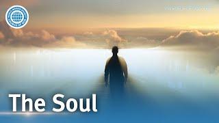 The Soul | World Mission Society Church of God