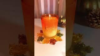 BADASS Pumpkin Candle #candlemaking #candle #pumpkin