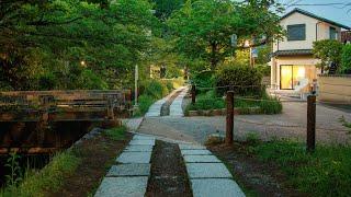 Quiet Dawn Walk along Philosopher's Path | Kyoto, Japan 4K Morning Ambience