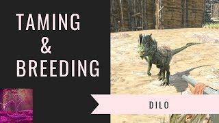 DILO ~ TAMING AND BREEDING ~ ark survival evolved