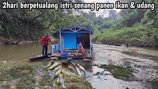 2 hari di atas rakit tengah sungai istri senang panen ikan udang melipah