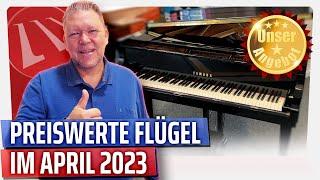 Diese preiswerten Flügel in unserer Galerie müsst ihr sehen! - Unsere Flügelangebote im April 2023