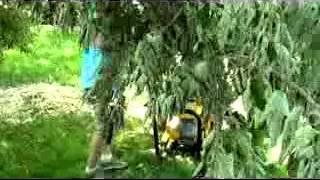15hp wood chipper