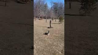 Don’t disturb us!! #canadiangoose #sunnyday #naturelovers