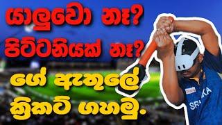 ගේ ඇතුලේ ක්‍රිකට් ගහමුද? How to play iB Cricket at Home.