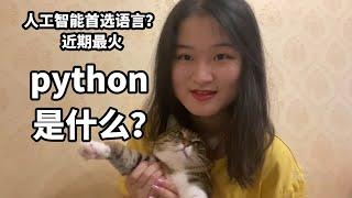 python是什么，为什么会那么火？