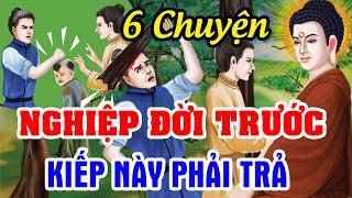 6 Chuyện Nhân Quả Luân Hồi, Nghiệp Đời Trước - Kiếp Này Phải Trả | Gieo Nhân Gặt Quả, Quả Báo 3 Đời