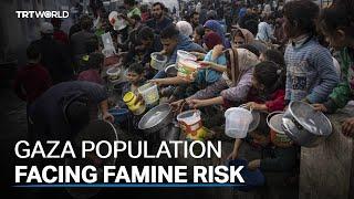 International organisations warn of unprecedented famine in Gaza