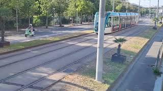 20220711 185838   Barcelona Bus Turistic Tram