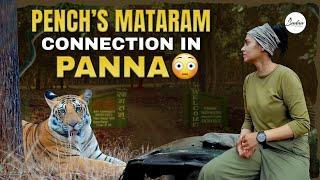 Pench's Mataram Connection In Panna 4K Vlog | Actress Sadaa in Panna | Sadaa Wild Stories