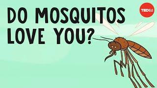 Do mosquitos actually bite some people more than others? - Maria Elena De Obaldia