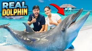 ডলফিনের সাথে সাঁতার কাটলাম | Swim With REAL DOLPHINS  | Rakib Hossain