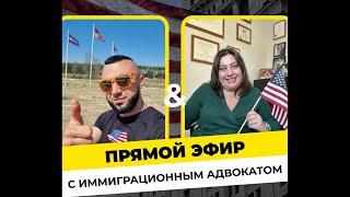 Иммиграция в США по U4U. Политическое убежище в Америке. Прямой эфир с адвокатом | Вопросы и ответы