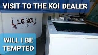 Visit to the koi dealer, L.E KOI LTD Nottingham (KOI POND)