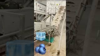 Frozen blueberry production line. Flofreeze shaking tunnel. #fruitprocessing #fruitproduction #iqf