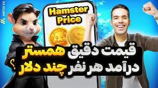 قیمت همستر  درآمد هر نفر چند دلار؟ بر اساس دستاورد و پرافیت| هر نفر چند توکن میرسه ؟ hamster price