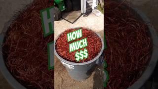 How Much $$$ Fer 44 Gallon Trash Bucket Of Copper? #scrap #scrapmetal #scrapmetalrecycling #shorts