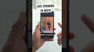 Create stickers in IOS 16! #ios16 #ios16features