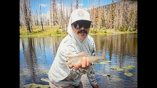 Jean Lake, Utah Grayling : Roam and Reel