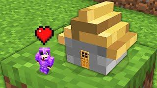 Minecraft but Your Hearts = Size...