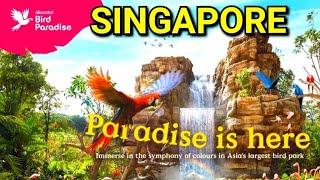 Singapore Bird Paradise | Mandai  Bird Park