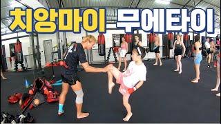 치앙마이 무에타이 수련하면 벌어지는 일